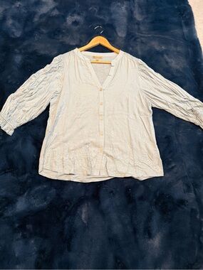 Democracy Pale Blue Embroidered Button-Down Blouse